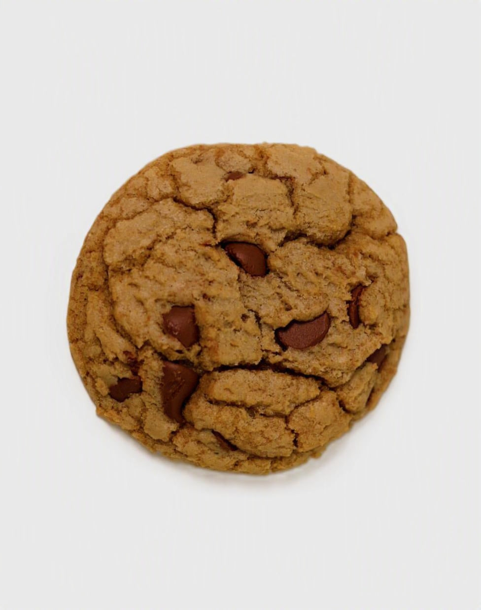 Milk Chocolate Chip